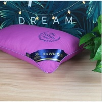 Taie d'oreiller d'aluminium Premium Double doublure, coussin en microfibre Polyester de 1000G 48x74cm avec sac à main