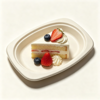 Assiette carrée ovale de 9 pouces en bagasse de canne à sucre, jetable et compostable, pour la restauration, les plats à emporter et la vente en gros