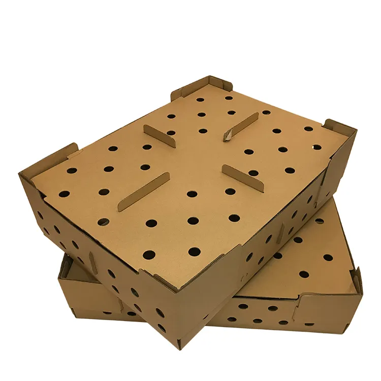Kotak Pembawa Anak, 100Pcs Anak Ayam Burung Puyuh Kotak Tampilan Hadiah Hewan Anjing Kucing Merpati Kotak Karton