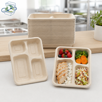 Plateau repas jetable biodégradable en bagasse à 4 compartiments, écologique pour les voyages, vente en gros