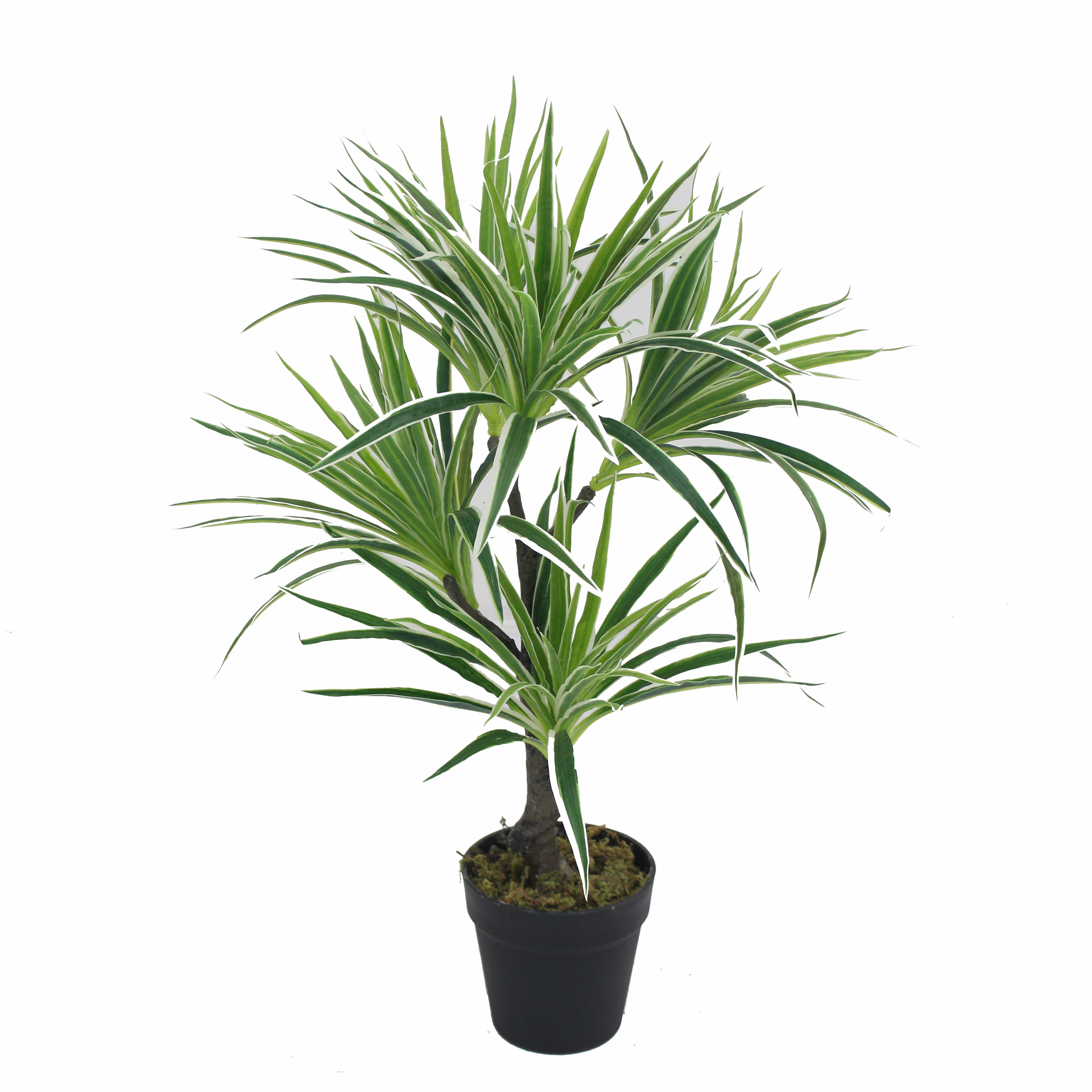 กองทัพสีเขียว