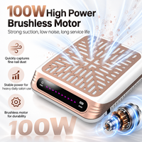 Collecteur de poussière d'ongles 100W à moteur sans balais, directement de l'usine, OEM ODM, vente en gros personnalisée