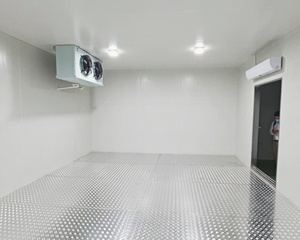 Thương mại đi bộ trong Máy làm lạnh Tủ đông lạnh phòng lưu trữ dễ dàng để hoạt động với copeland máy nén giá cả cạnh tranh - Product Image 2