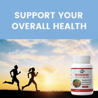 Compléments de berbérine en marque privée OEM avec capsules de cannelle de Ceylan pour une gestion saine du poids et un système immunitaire sain