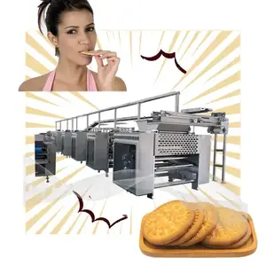 Thép không gỉ Biscuit sản xuất máy sản xuất Biscuit Making Machine cần bán xếp chồng Biscuit máy