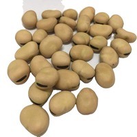 Isolat de protéines de haricot fava de haute qualité, non-OGM, 90 % en poudre, qualité alimentaire, protéines végétales pour substituts de viande et boissons