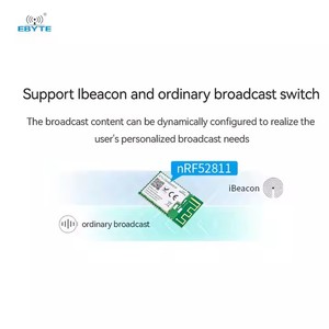 Ebyte ODM E73-2G4M04S1F 120m FCC/CE/RoHs Low Power Wireless Nordic BLE 5.1 NRF52811 2.4GHZ Lte Beacon Ble Module - Product Image 4