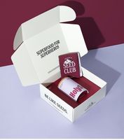 Boîte personnalisable de style avion en carton ondulé extra-résistant en papier kraft coloré avec logo pour vêtements/sous-vêtements, résistante aux UV