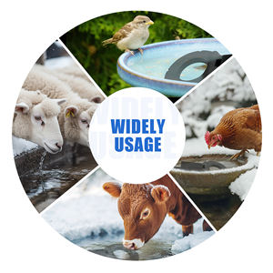 <span class=keywords><strong>Chauffe</strong></span>-abreuvoir pour poulet submersible Contrôle thermostatique Abreuvoir pour poulet chauffé Dégivreur - Product Image 6