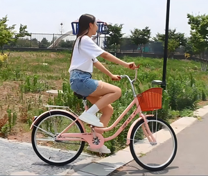 Nouveau modèle 2026 Vélo de ville pour <span class=keywords><strong>femme</strong></span> personnalisé vintage 26 pouces, cadre surbaissé, <span class=keywords><strong>style</strong></span> cruiser rétro, avec panier, <span class=keywords><strong>style</strong></span> <span class=keywords><strong>hollandais</strong></span>, simple vitesse, haut de gamme - Product Image 5