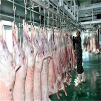 Ligne de traitement complète d'abattage de moutons à petite échelle