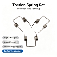 Ressort de torsion poli OEM, résistant à l'usure, pour accessoires d'instruments d'automatisation