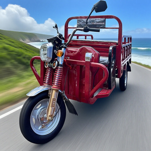Nuovo Triciclo Elettrico 2026 da 1000W con Cassone Ribaltabile, <span class=keywords><strong>Bici</strong></span> <span class=keywords><strong>Cargo</strong></span> a 3 Ruote per Adulti, Tricicli Elettrici 60V in Vendita, Tricicli Agricoli a 3 Ruote con 2 Posti - Product Image 3