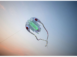 Cometas Luminosas, Juguetes para Exteriores, Cometas Profesionales para Playa, el <span class=keywords><strong>Cometa</strong></span> Más Vendido para Niños - Product Image 5