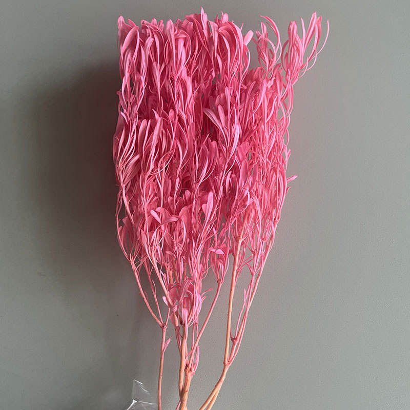 สีชมพูเข้ม