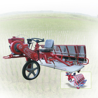 Machine de repiquage de riz paddy 6 rangées 4 rangées de haute qualité pour l'agriculture