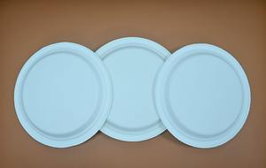 Ensemble de 100 pièces de vaisselle jetable en canne à sucre écologique pour les fêtes - Product Image 4