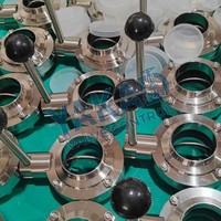 Edelstahl-Absperrklappe mit Pneumatischem Antrieb, Doppeltwirkend für Automatisierte Prozesskontrollleitungen