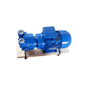 Bomba de Vacío de Anillo Líquido de Alta Potencia <span class=keywords><strong>Greentech</strong></span> 2BV2 070 OEM Personalizable, Motor de Ahorro de Energía para Aguas Residuales de Alta Presión - Product Image 3