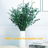 100g naturel séché éternel feuilles d'eucalyptus séchées bouquet mince véritable vert eucalyptus feuille fine fleuriste bouquet douche