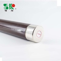 Fusible RMU haute tension limiteur de courant fusible lien Ht transformateur d'huile MV & HV 55*520mm corps de Tube en céramique ou époxy