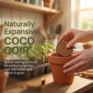 Groente teelt met geperste pure kokosvezel medium, voedingsrijke aardeblokjes en succulententeelt in kokosvezel - Product Image 3