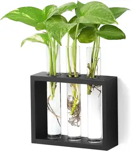 Настенный стеклянный плантатор для растений, Террариум, Современная ваза для цветочных бутонов в деревянной подставке, настольный террариум