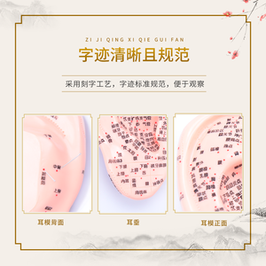 Akupunktur Auricular noktaları için bulut ve ejderha çift kulaklar modeli Uesd akupunktur noktaları ile silikon kauçuk kulaklar modeli - Product Image 5