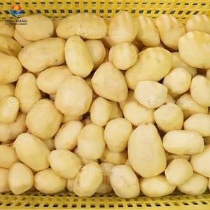 สายการผลิตมันฝรั่ง 3 ตัน/ชม. |   โซลูชันแบบครบวงจรสำหรับการให้อาหาร-ทำความสะอาด-ปอกเปลือก - Product Image 6