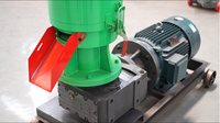 Moulin à granulés d'aliments pour volailles et bétail électrique haute efficacité 380V à matrice plate, nouvelle génération, capacité de 500 kg/h
