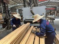 Vente chaude traité thermiquement pin chêne frêne épicéa pruche chêne rouge hêtre Ayous Okoumé échantillon de bois modifié thermiquement