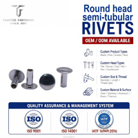 Rivets semi-tubulaires à tête ronde en acier inoxydable de qualité supérieure, fabriqués sur mesure par l'usine TianFang, pour accessoires de moto, OEM ODM, approvisionnement en gros