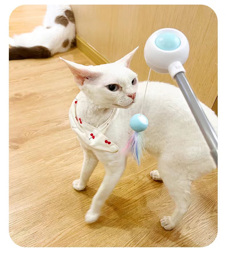 Wholesale Nice Quality Interactive Interesting Funny Cat Teaser Stick Laser Toy Led Laser Pets Toys For Pet Cat