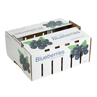 Boîtes à pamplemousses en carton ondulé ventilé pour l'emballage de raisins frais, chaîne du froid, exportation, stockage, anti-écrasement, emballage de fruits