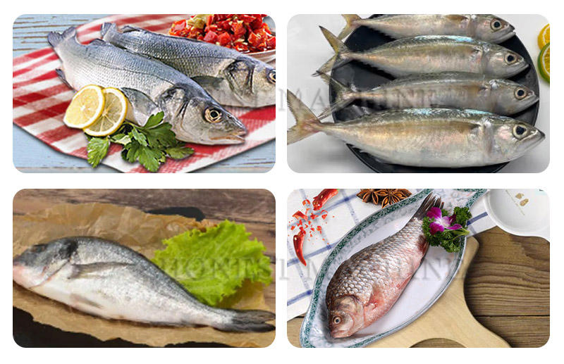 Nettoyant Pour écailles De Poisson Grattoir Nettoyeur Écailleur