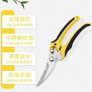 Nice Pruning <b>Shears</b> 65mm Alloy Steel Blade 20-30mm Trimming Diameter Spring Return Garden <b>Tool</b> - Product Image 1