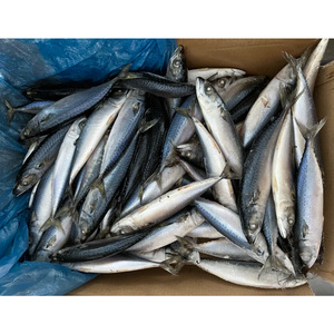 Pescado Atún del Pacífico Congelado Entero, Atún del Pacífico Congelado a Granel 300-400g - Product Image 5