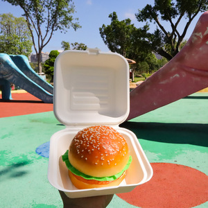 Caixa Moderna para Almoço de 6 Polegadas em Bagaço de Oliveira Verde, Biodegradável e Compostável, Embalagem para Fast Food e Viagem, Caixa para Hambúrguer - Product Image 1