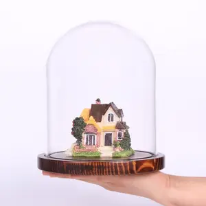 Стеклянный купольный колокольчик, стеклянный дисплей, купольный колокольчик с основанием для растений, миниатюрный суккулент