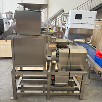 Dubbele Roller Fruitpulpmachine met Zaadverwijdering voor Passievruchten, Fruitpulpbereiding en Fruitverwerking