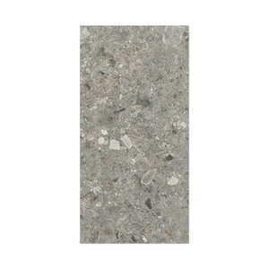 Piastrella in Porcellana Grigia Nantes 12x24 Pollici per Pavimenti e Pareti - Product Image 3
