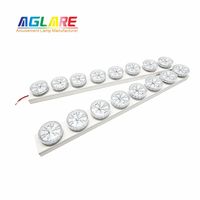 Aglare Luz LED de Píxeles RGBW de 60MM para Exteriores, Luz Puntual de 24V AC para Temática de Atracciones, Ideal para Noria