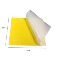 Piège à insectes collant jaune biodégradable personnalisé