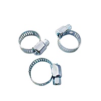 Colliers de serrage universels pour tuyaux à vis sans fin Type mini-collier pour tuyaux et tubes fermes