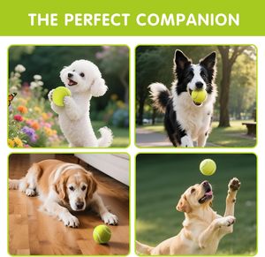 Pelota de Tenis de Fibra Química, Juguetes para Mascotas, Pelota de Tenis de Caucho Natural con Logotipo Personalizado para Perros y Gatos - Product Image 5