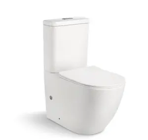 WDSI 중국 화장실 화장실 냄비 화장실 판매