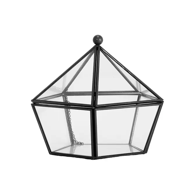 Nieuwe Moderne Artistieke Clear Glazen Sieraden Doos Geometrische Pentagon Vorm Succulent Moss Fern Plant Terrarium Display Planter Decor