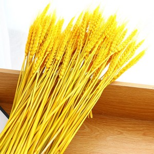 Ramo de Espigas de Trigo Doradas, 100 Varillas, Flores Secas de Larga Duración, Decoración para el Hogar, Adorno Ornamental - Product Image 4