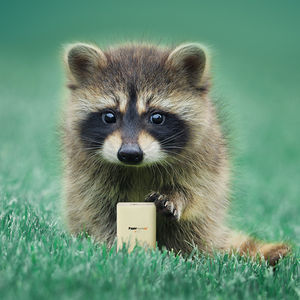 Mini papier de poche avec logo imprimé personnalisé, petit format, de qualité supérieure, pour le visage - Product Image 6