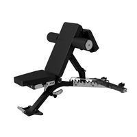 Banc de musculation multifonctionnel réglable en acier inoxydable pour exercices de musculation, triceps et biceps